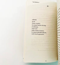 Încarcă imaginea în vizualizatorul Galerie, Culorile uitarii - Vasi Radulescu