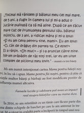 Încarcă imaginea în vizualizatorul Galerie, Mame pentru baietii nostri - Ghidul mamelor pentru baieti - Maggie Dent