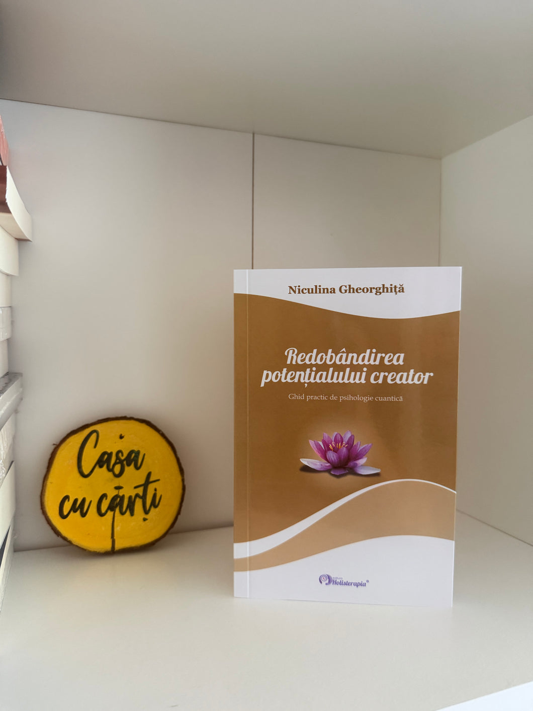Redobandirea potentialului creator- ghid practic de psihologie cuantica- Niculina Gheorghita