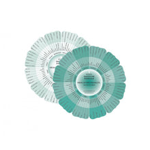 Încarcă imaginea în vizualizatorul Galerie, Emotii esentiale + Roata emotiilor &amp; Ghidul sentimentelor
