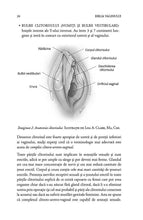 Încarcă imaginea în vizualizatorul Galerie, Biblia vaginului - Separarea miturilor de medicina -
